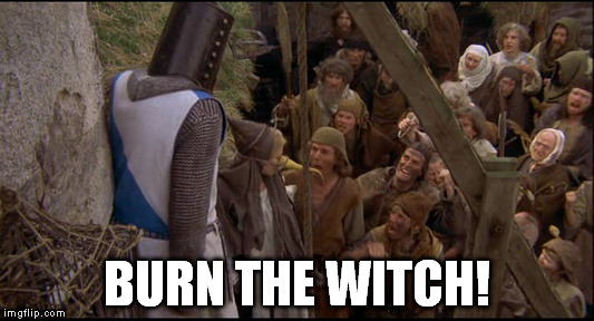 BURN THE WITCH! | image tagged in monty python | made w/ Imgflip meme maker