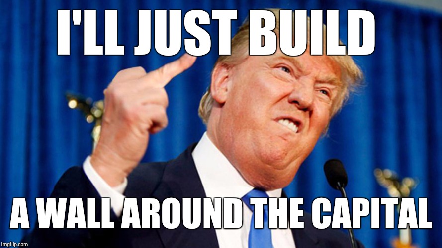 Trump - Bird | I'LL JUST BUILD A WALL AROUND THE CAPITAL | image tagged in trump - bird | made w/ Imgflip meme maker