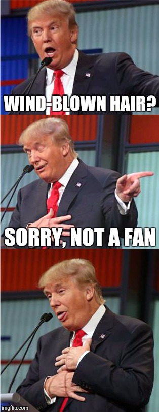 Bad Pun Trump | WIND-BLOWN HAIR? SORRY, NOT A FAN | image tagged in bad pun trump,donald trump,donald trumph hair,funny,memes,donald trump approves | made w/ Imgflip meme maker