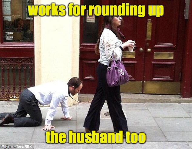 works for rounding up the husband too | made w/ Imgflip meme maker