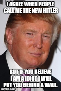 Donald Trump  | I AGREE WHEN PEOPLE CALL ME THE NEW HITLER; BUT IF YOU BELIEVE I AM A IDIOT I WILL PUT YOU BEHIND A WALL. | image tagged in donald trump | made w/ Imgflip meme maker