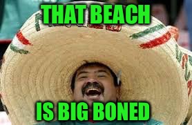 THAT BEACH IS BIG BONED | made w/ Imgflip meme maker