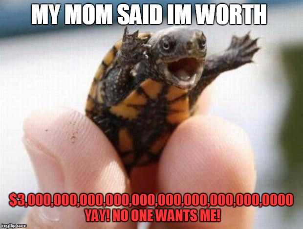 happy baby turtle | MY MOM SAID IM WORTH; $3,000,000,000,000,000,000,000,000,000,0000 YAY! NO ONE WANTS ME! | image tagged in happy baby turtle | made w/ Imgflip meme maker