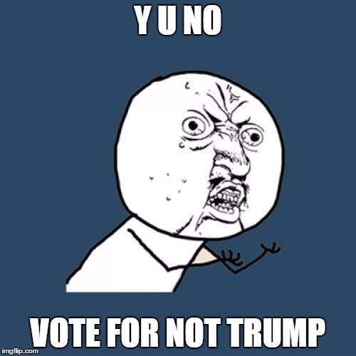 Y U No Meme | Y U NO; VOTE FOR NOT TRUMP | image tagged in memes,y u no | made w/ Imgflip meme maker