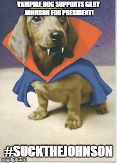 vampire dachshund | VAMPIRE DOG SUPPORTS GARY JOHNSON FOR PRESIDENT! #SUCKTHEJOHNSON | image tagged in vampire dachshund | made w/ Imgflip meme maker