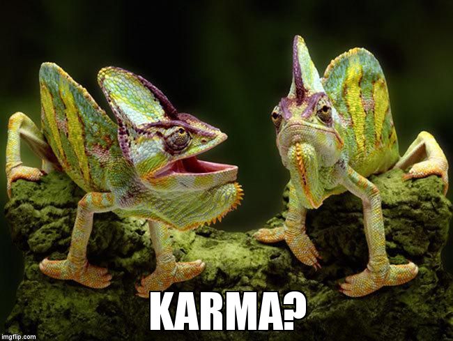 chameleons | KARMA? | image tagged in chameleons | made w/ Imgflip meme maker