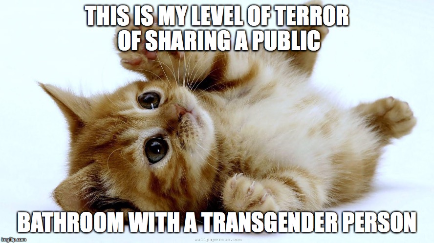 Fear | THIS IS MY LEVEL OF TERROR OF SHARING A PUBLIC; BATHROOM WITH A TRANSGENDER PERSON | image tagged in transgender bathroom laws | made w/ Imgflip meme maker