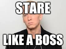 STARE; LIKE A BOSS | image tagged in memes | made w/ Imgflip meme maker