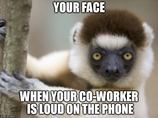 co-worker on the phone | YOUR FACE; WHEN YOUR CO-WORKER IS LOUD ON THE PHONE | image tagged in your face when | made w/ Imgflip meme maker