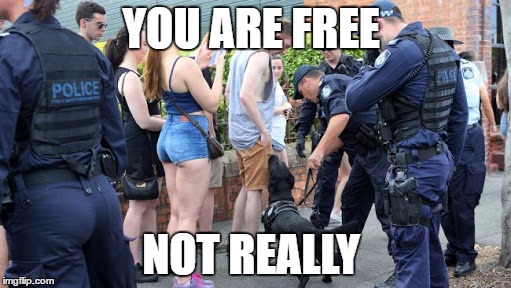 YOU ARE FREE; NOT REALLY | image tagged in cops on drugs | made w/ Imgflip meme maker