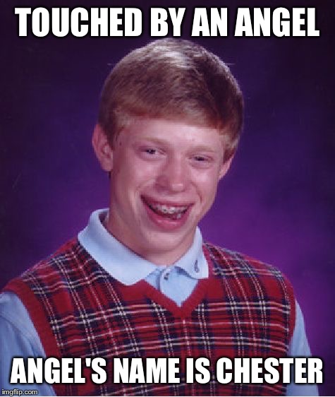 . . .in the pew | TOUCHED BY AN ANGEL; ANGEL'S NAME IS CHESTER | image tagged in memes,bad luck brian,angel,touch,religion | made w/ Imgflip meme maker