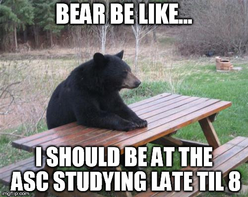 Bad Luck Bear | BEAR BE LIKE... I SHOULD BE AT THE ASC STUDYING LATE TIL 8 | image tagged in memes,bad luck bear | made w/ Imgflip meme maker