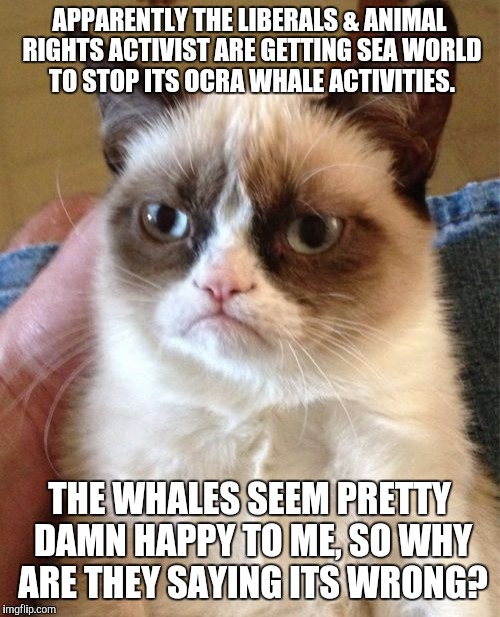 Heard this on the news a few weeks ago, my words were "Shut the f**k up right now" | APPARENTLY THE LIBERALS & ANIMAL RIGHTS ACTIVIST ARE GETTING SEA WORLD TO STOP ITS OCRA WHALE ACTIVITIES. THE WHALES SEEM PRETTY DAMN HAPPY TO ME, SO WHY ARE THEY SAYING ITS WRONG? | image tagged in memes,grumpy cat | made w/ Imgflip meme maker