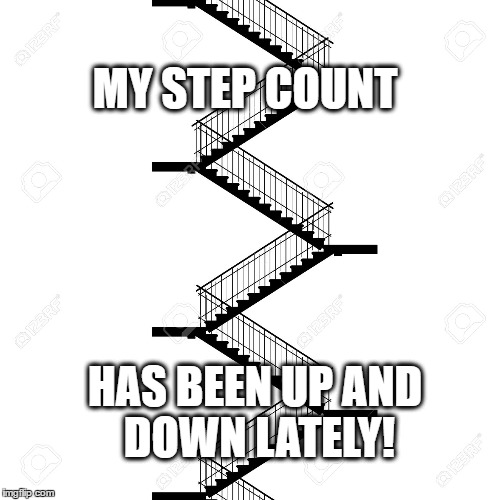 For up and down Fitbit Fanatics.  | MY STEP COUNT; HAS BEEN UP AND DOWN LATELY! | image tagged in fitbit | made w/ Imgflip meme maker