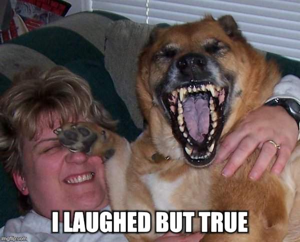 laughing dog | I LAUGHED BUT TRUE | image tagged in laughing dog | made w/ Imgflip meme maker