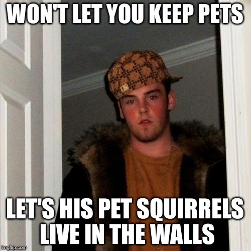 Scumbag Steve Meme | WON'T LET YOU KEEP PETS; LET'S HIS PET SQUIRRELS LIVE IN THE WALLS | image tagged in memes,scumbag steve | made w/ Imgflip meme maker