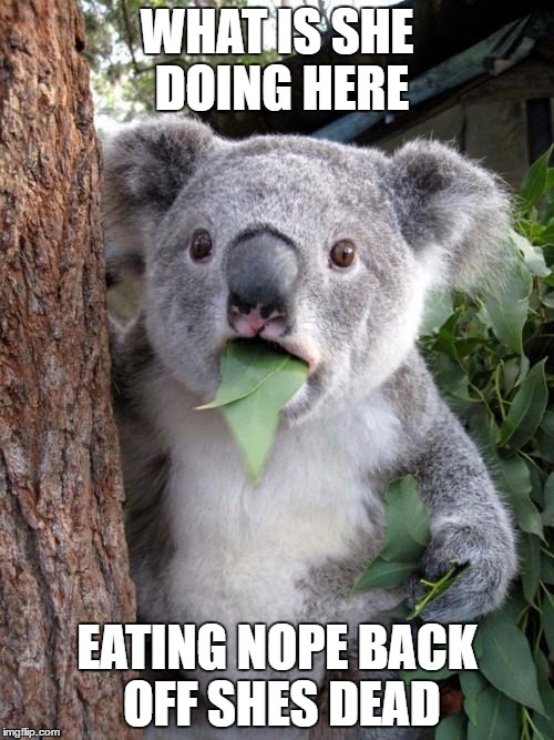 Surprised Koala | WHAT IS SHE DOING HERE; EATING NOPE BACK OFF SHES DEAD | image tagged in memes,surprised koala | made w/ Imgflip meme maker