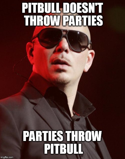 Pitbull | PITBULL DOESN'T THROW PARTIES; PARTIES THROW PITBULL | image tagged in pitbull | made w/ Imgflip meme maker