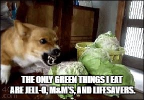 lettuce | THE ONLY GREEN THINGS I EAT ARE JELL-O, M&M'S, AND LIFESAVERS. | image tagged in lettuce | made w/ Imgflip meme maker