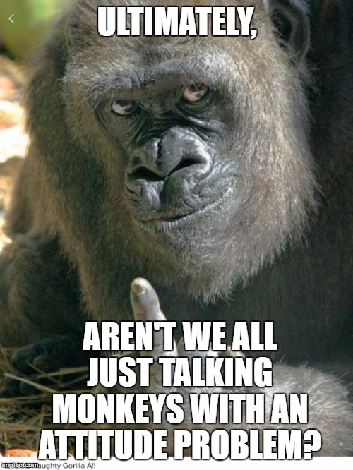 Monkey finger | ULTIMATELY, AREN'T WE ALL JUST TALKING MONKEYS WITH AN ATTITUDE PROBLEM? | image tagged in monkey finger | made w/ Imgflip meme maker