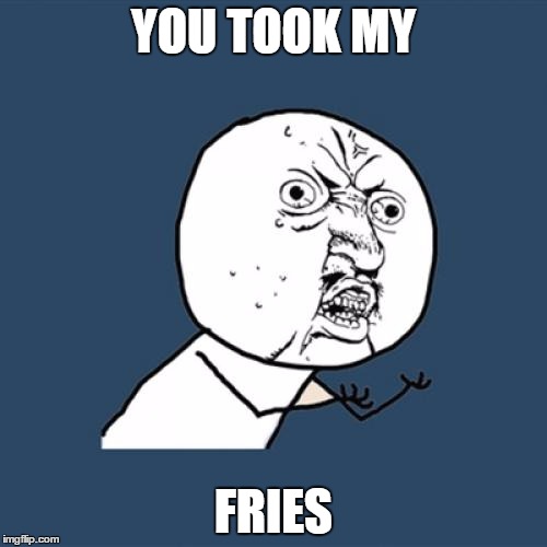 Y U No Meme | YOU TOOK MY; FRIES | image tagged in memes,y u no | made w/ Imgflip meme maker