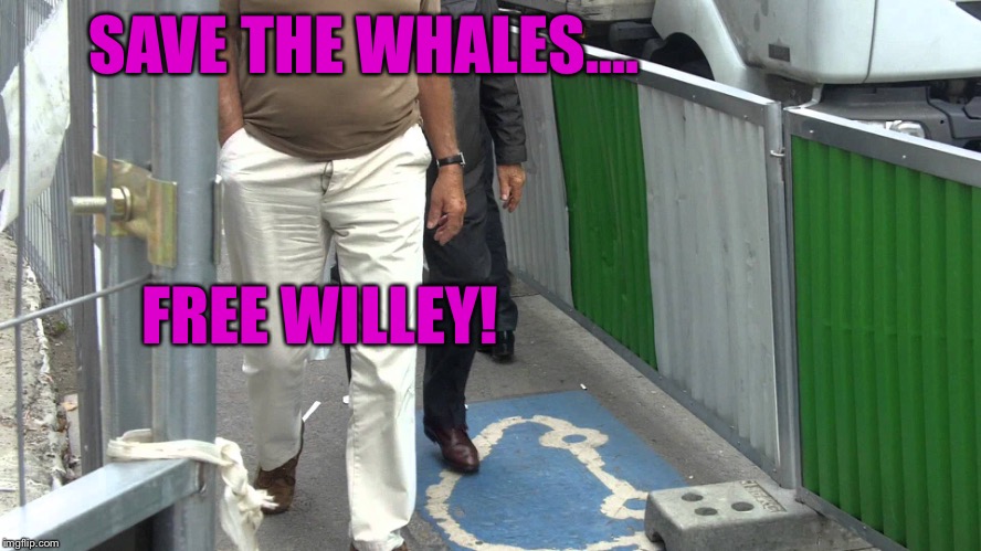 SAVE THE WHALES.... FREE WILLEY! | made w/ Imgflip meme maker