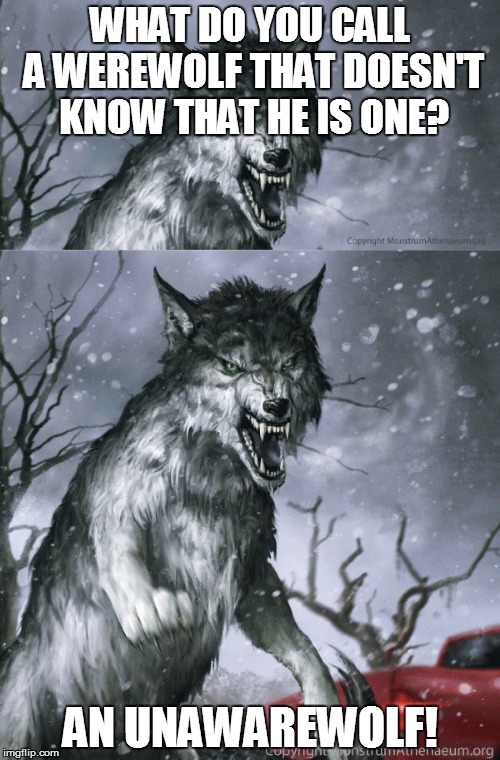 Bad Pun Werewolf | WHAT DO YOU CALL A WEREWOLF THAT DOESN'T KNOW THAT HE IS ONE? AN UNAWAREWOLF! | image tagged in werewolf | made w/ Imgflip meme maker