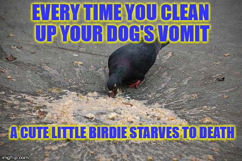 vomit | EVERY TIME YOU CLEAN UP YOUR DOG'S VOMIT; A CUTE LITTLE BIRDIE STARVES TO DEATH | image tagged in vomit | made w/ Imgflip meme maker
