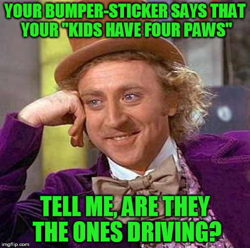 To the lady I got behind who was unable to maintain a consistent speed or keep her car on her side of the road... |  YOUR BUMPER-STICKER SAYS THAT YOUR "KIDS HAVE FOUR PAWS"; TELL ME, ARE THEY THE ONES DRIVING? | image tagged in memes,creepy condescending wonka | made w/ Imgflip meme maker