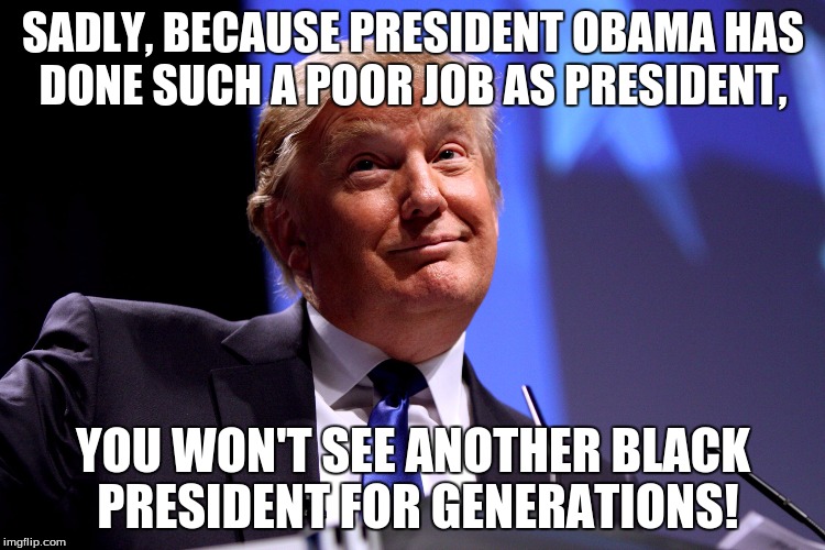Donald Trump | SADLY, BECAUSE PRESIDENT OBAMA HAS DONE SUCH A POOR JOB AS PRESIDENT, YOU WON'T SEE ANOTHER BLACK PRESIDENT FOR GENERATIONS! | image tagged in donald trump | made w/ Imgflip meme maker