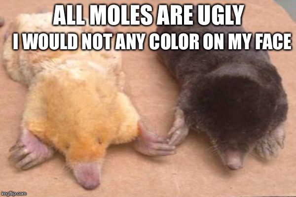 ALL MOLES ARE UGLY I WOULD NOT ANY COLOR ON MY FACE | made w/ Imgflip meme maker