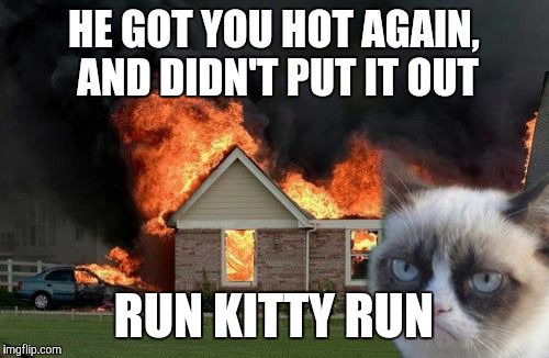 Burn Kitty Meme | HE GOT YOU HOT AGAIN, AND DIDN'T PUT IT OUT; RUN KITTY RUN | image tagged in memes,burn kitty | made w/ Imgflip meme maker