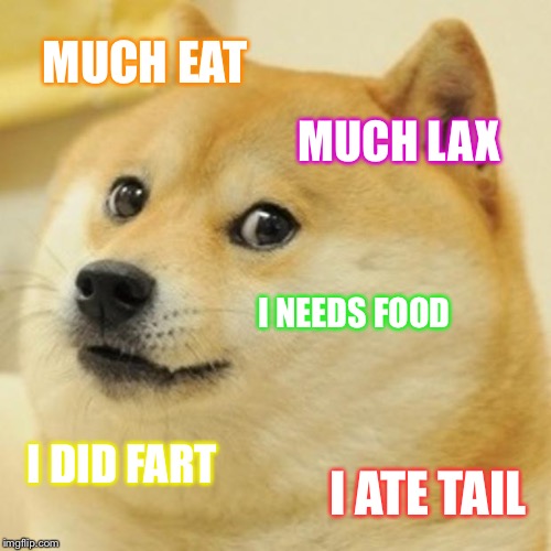 Doge | MUCH EAT; MUCH LAX; I NEEDS FOOD; I DID FART; I ATE TAIL | image tagged in memes,doge | made w/ Imgflip meme maker