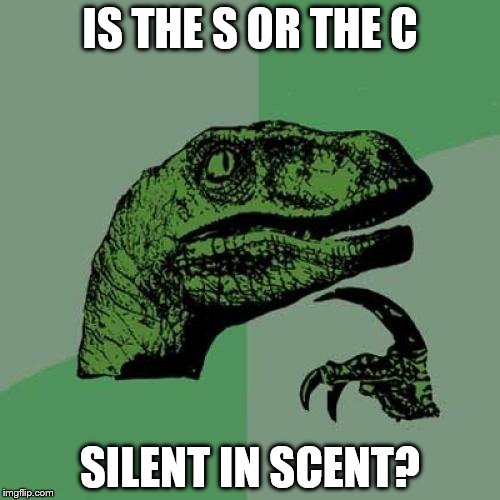 Philosoraptor Meme | IS THE S OR THE C; SILENT IN SCENT? | image tagged in memes,philosoraptor | made w/ Imgflip meme maker