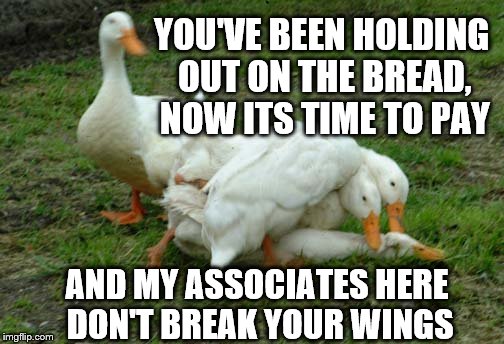 Sooner or later, the "bill" is due.  | YOU'VE BEEN HOLDING OUT ON THE BREAD, NOW ITS TIME TO PAY; AND MY ASSOCIATES HERE DON'T BREAK YOUR WINGS | image tagged in memes,animals,ducks,shakedown | made w/ Imgflip meme maker