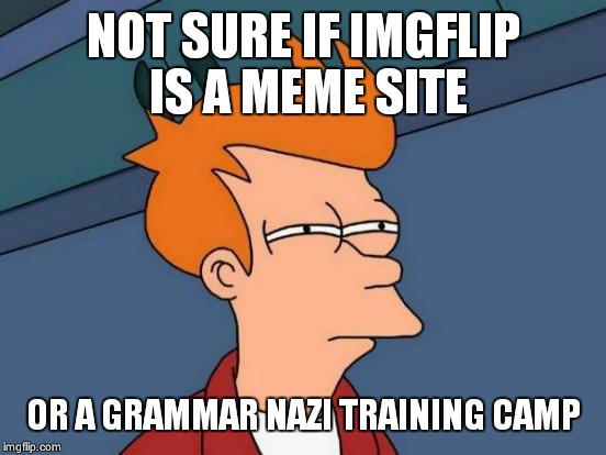 Expecting a repost? Nope. | NOT SURE IF IMGFLIP IS A MEME SITE; OR A GRAMMAR NAZI TRAINING CAMP | image tagged in memes,futurama fry | made w/ Imgflip meme maker