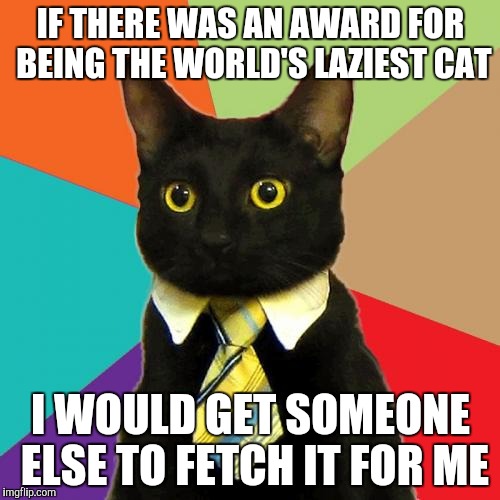 Business Cat | IF THERE WAS AN AWARD FOR BEING THE WORLD'S LAZIEST CAT; I WOULD GET SOMEONE ELSE TO FETCH IT FOR ME | image tagged in memes,business cat | made w/ Imgflip meme maker