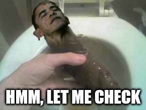 Obama Turd | HMM, LET ME CHECK | image tagged in obama turd | made w/ Imgflip meme maker