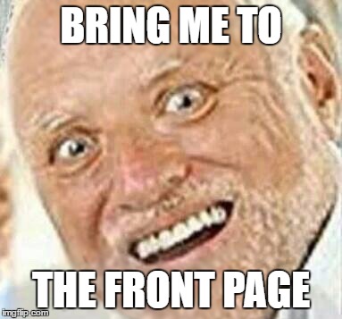 harold save me from this meme hell | BRING ME TO THE FRONT PAGE | image tagged in harold save me from this meme hell,imgflip,front page,dank,hide the pain harold | made w/ Imgflip meme maker