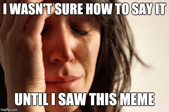 First World Problems Meme | I WASN'T SURE HOW TO SAY IT UNTIL I SAW THIS MEME | image tagged in memes,first world problems | made w/ Imgflip meme maker