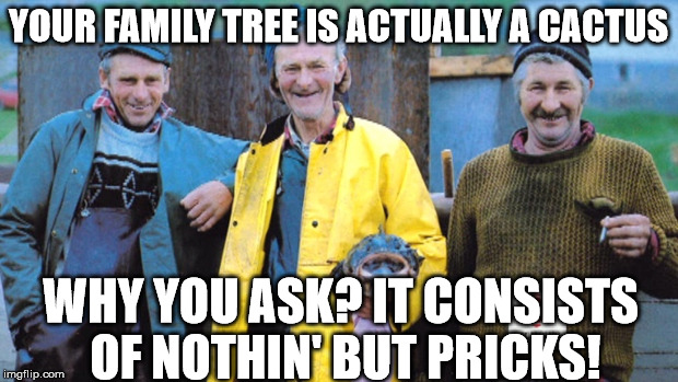 Newfie Fishermen | YOUR FAMILY TREE IS ACTUALLY A CACTUS; WHY YOU ASK? IT CONSISTS OF NOTHIN' BUT PRICKS! | image tagged in newfie fishermen | made w/ Imgflip meme maker