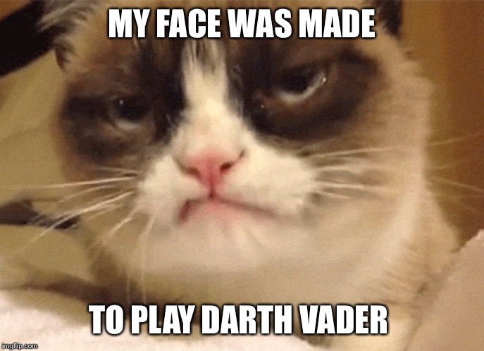 DISAPPROVING GRUMPY CAT | MY FACE WAS MADE TO PLAY DARTH VADER | image tagged in disapproving grumpy cat | made w/ Imgflip meme maker