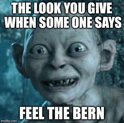 Gollum | THE LOOK YOU GIVE WHEN SOME ONE SAYS; FEEL THE BERN | image tagged in memes,gollum | made w/ Imgflip meme maker