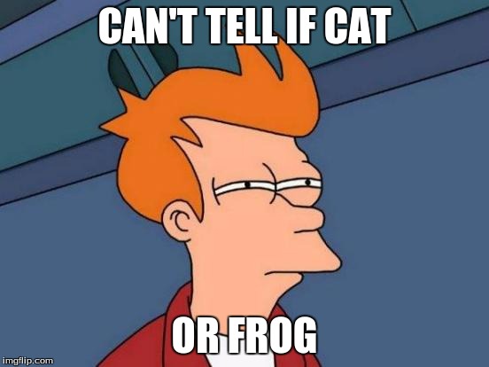 Futurama Fry Meme | CAN'T TELL IF CAT OR FROG | image tagged in memes,futurama fry | made w/ Imgflip meme maker