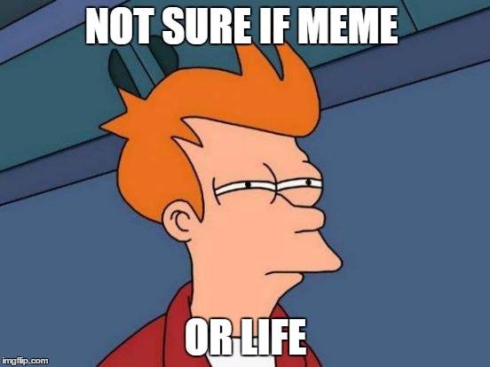 Futurama Fry | NOT SURE IF MEME; OR LIFE | image tagged in memes,futurama fry | made w/ Imgflip meme maker
