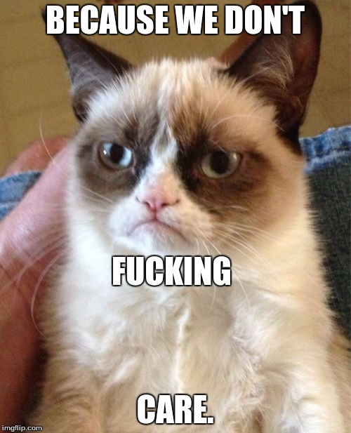 Grumpy Cat Meme | BECAUSE WE DON'T CARE. F**KING | image tagged in memes,grumpy cat | made w/ Imgflip meme maker