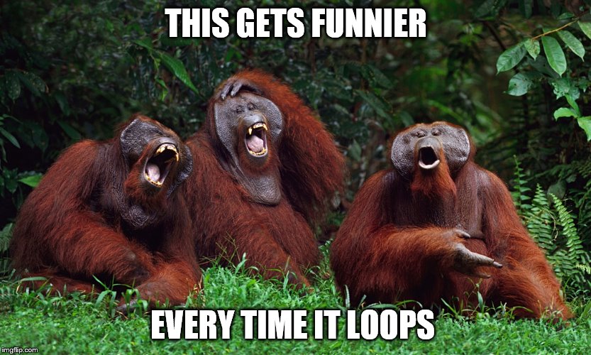 laughing orangutans | THIS GETS FUNNIER EVERY TIME IT LOOPS | image tagged in laughing orangutans | made w/ Imgflip meme maker