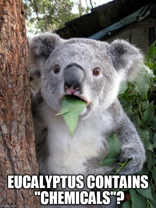 Koala with a "chemical" phobia, in the age of internet "science".  | EUCALYPTUS CONTAINS "CHEMICALS"? | image tagged in memes,surprised koala | made w/ Imgflip meme maker
