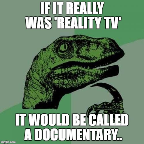 Philosoraptor | IF IT REALLY WAS 'REALITY TV'; IT WOULD BE CALLED A DOCUMENTARY.. | image tagged in memes,philosoraptor | made w/ Imgflip meme maker