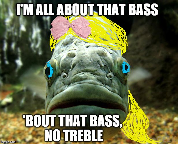 Yeah my mama she told me, "don't worry about your size" | I'M ALL ABOUT THAT BASS; 'BOUT THAT BASS, NO TREBLE | image tagged in memes,animals,megan trainor,all about that bass | made w/ Imgflip meme maker